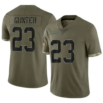 Nike LaDarius Gunter Men's Limited Carolina Panthers Olive Ladarius Gunter 2022 Salute To Service Jersey