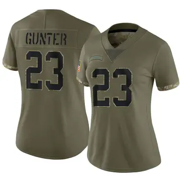 Nike LaDarius Gunter Women's Limited Carolina Panthers Olive Ladarius Gunter 2022 Salute To Service Jersey